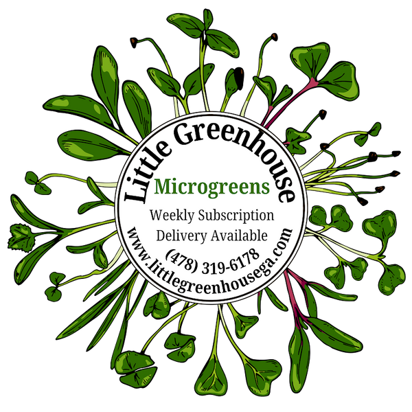 Little Greenhouse